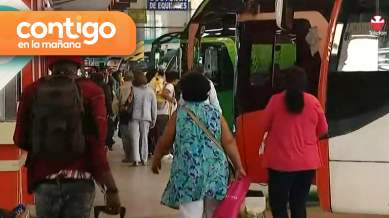 Choferes y auxiliares de buses traficaban droga en terminal: Usaban lenguaje clave para no ser detectados