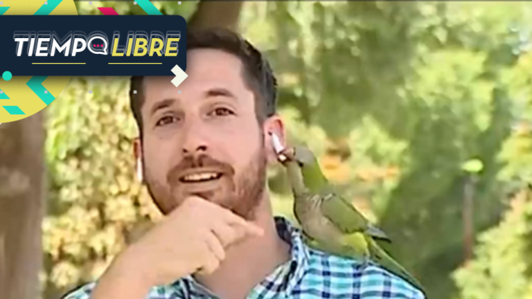 Periodista sufrió el insólito robo de uno de sus audífonos mientras estaba despachando en vivo