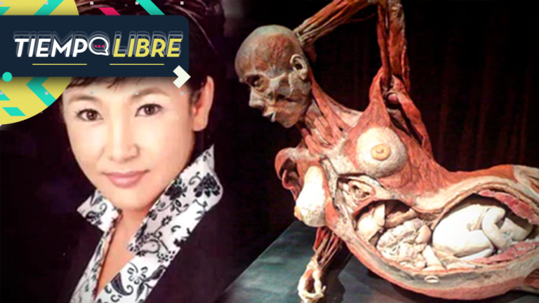 Todo un misterio: Periodista que desapareció en 1998 habría sido encontrada como escultura humana