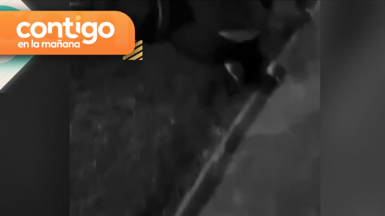 “¡No dejes de respirar!”: Revelan video de la mortal balacera en La Florida