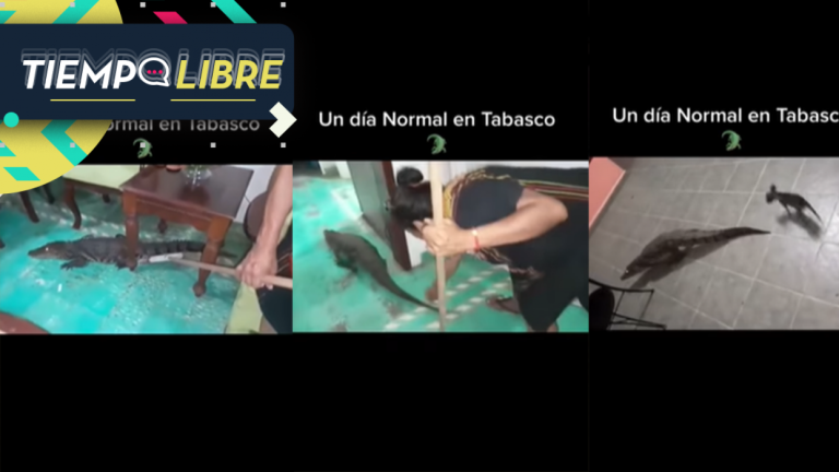 “Un día normal”: Mujer saca a “escobazos” a cocodrilo de su casa como si fuera un ratón