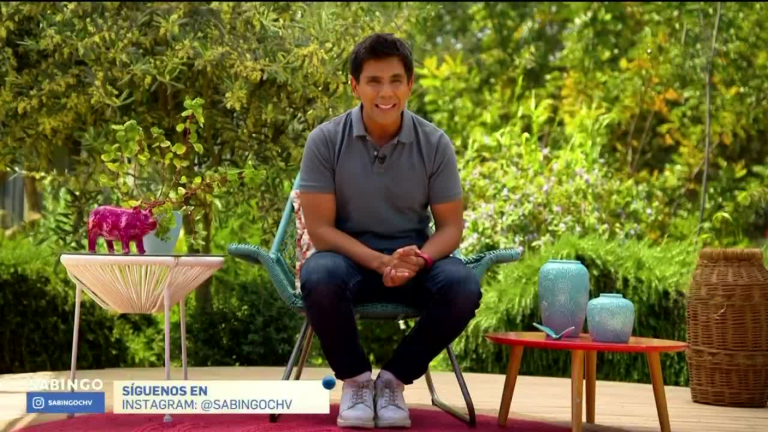 Sabingo | Capítulo 12 de noviembre