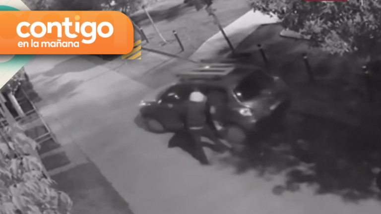 Delincuentes destruyen reja de un condominio tras portonazo en Puente Alto: Víctima intentó encerrarlos
