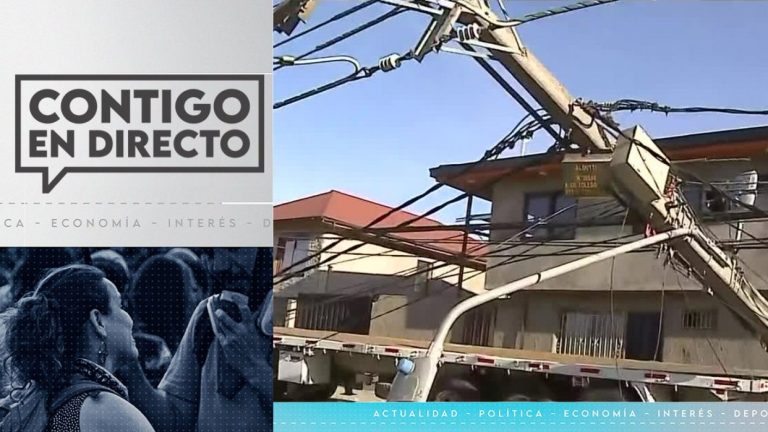 Por mala maniobra: camión derribó 12 postes de luz que dejaron sin luz a familias en San Joaquín