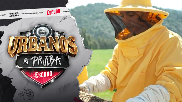 ¡A sacar miel! Jairo Vera se convirtió en apicultor para Urbanos A Prueba