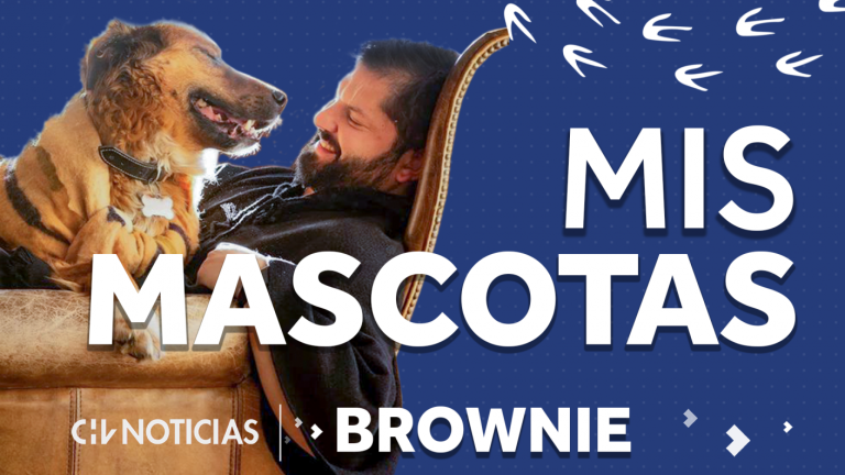 Con Brownie, el primer perro presidencial: Mira acá el primer capítulo de Mis Mascotas