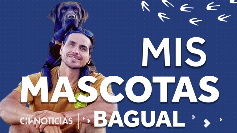 Mis Mascotas, capítulo 3 | Conoce a Bagual, el “apañador e inteligente” perro de Pangal Andrade