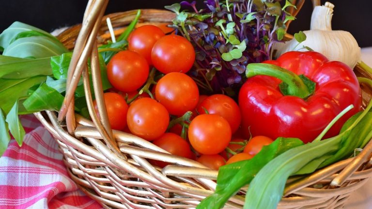 Nuevos beneficiarios del Aporte Canasta Básica: ¿Quiénes recibirán la ayuda económica?