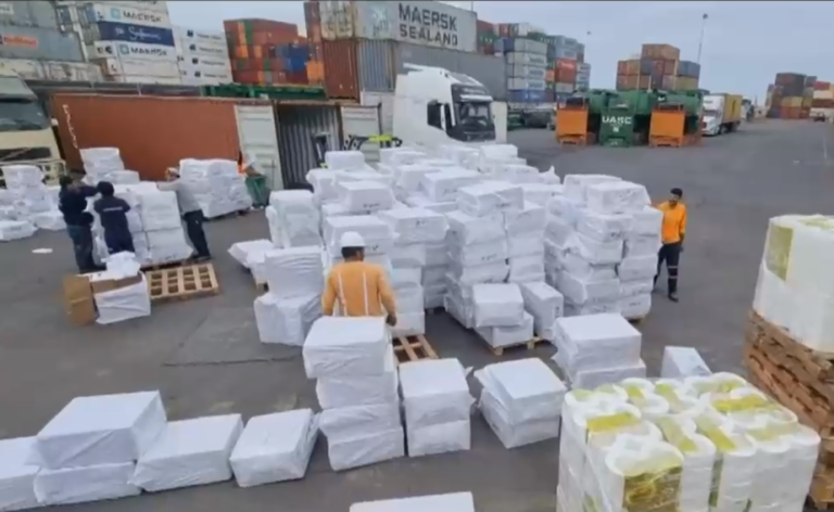 Serían vendidas en Santiago y Bolivia: Aduanas incautó 1 millón de dólares en zapatillas falsificadas