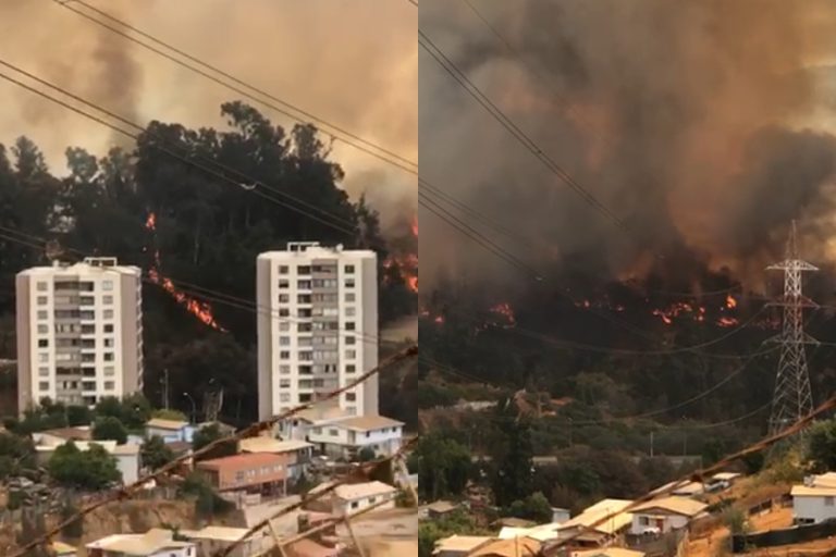 Declaran Alerta Roja por incendio forestal fuera de control en el Jardín Botánico de Viña del Mar