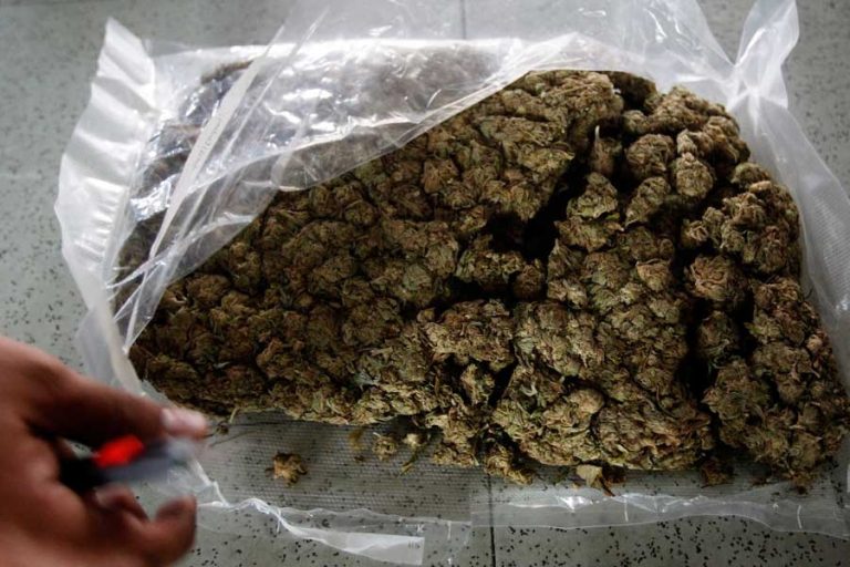 Venezuela incauta más de una tonelada de marihuana en aguas de la isla francesa Martinica ubicada en el caribe