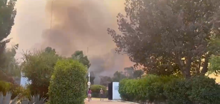 Alerta por 33 incendios forestales activos a nivel país: Los focos se concentran en Viña del Mar y Melipilla