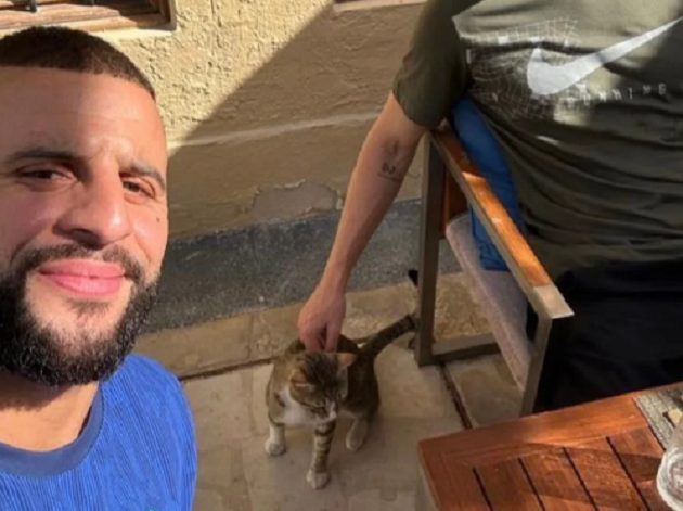 No hay copa, pero sí mascota: Jugadores ingleses adoptaron gatito tras ser eliminados de Qatar 2022