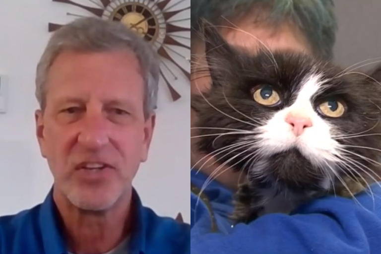 Gata estuvo perdida 10 años, fue rescatada y ahora viajará a España para reencontrarse con sus dueños