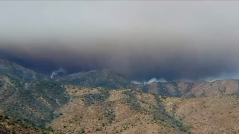 Lampa anuncia suspensión de clases en colegios municipales por incendio en Curacaví