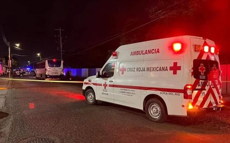 Niño murió al sacar su cabeza por la ventana de la micro y golpearse con poste: Viajaba con su familia en México