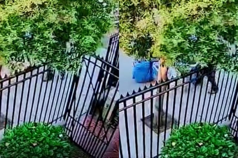 Paramédicos vuelcan camilla de mujer de 92 años tras alta médica: Hospital afirma que fue por el 