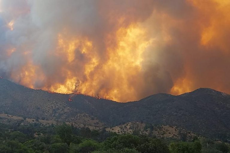 ¿A quién llamar y cómo proteger mi salud? Estas son las recomendaciones de las autoridades ante incendios forestales