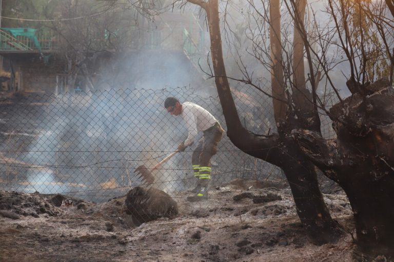 Balance Onemi: 5 incendios forestales se mantienen en combate y 209 personas han sido afectadas