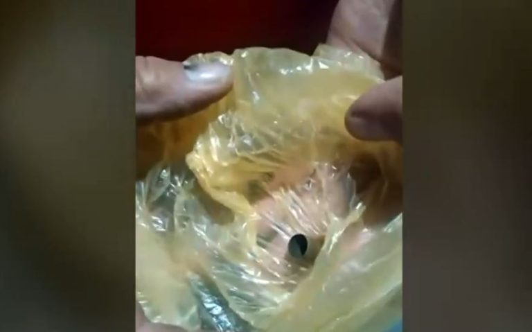 Tras altercado: Sujeto disparó al aire en feria navideña de La Granja y se dio a la fuga