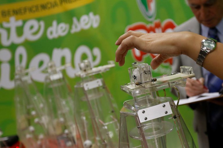 Premios de $1 millón: Revisa si fuiste uno de los afortunados del nuevo sorteo sólo con tu RUT