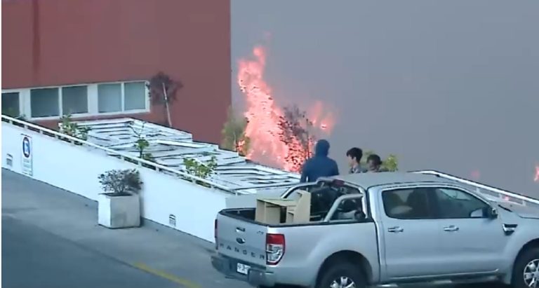 Incendio forestal en Viña del Mar afecta al menos 200 casas: Piden a la población evacuar