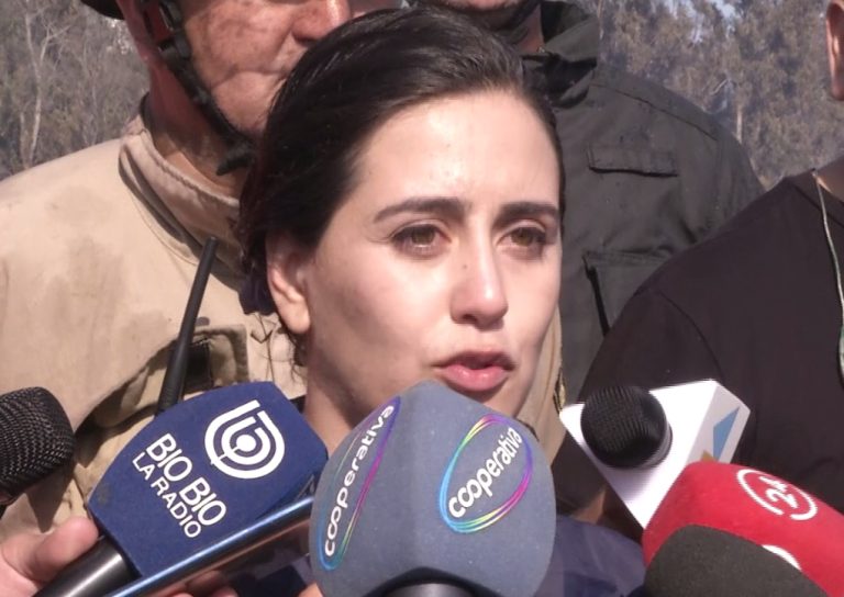 Alcaldesa Ripamonti llamó a la prudencia por voluntarios en incendio: 