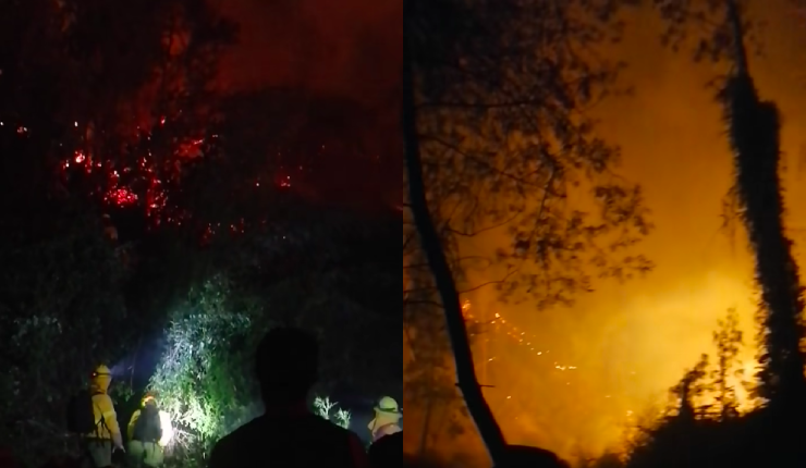 Onemi declaró alerta roja en Laja por incendio forestal: Se sumó a Chiguayante y Hualqui