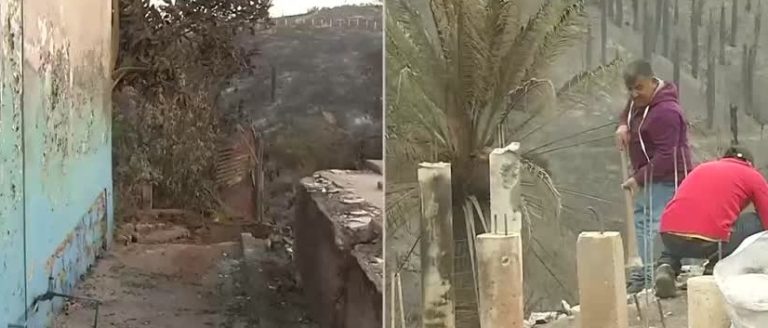 Maquinarias están removiendo escombros: Continúan reparando los daños tras devastador incendio en Viña del Mar