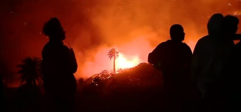 ¿Cómo se produjo el fuego?: Autoridades investigan si el incendio en Viña del Mar fue intencionado por terceros