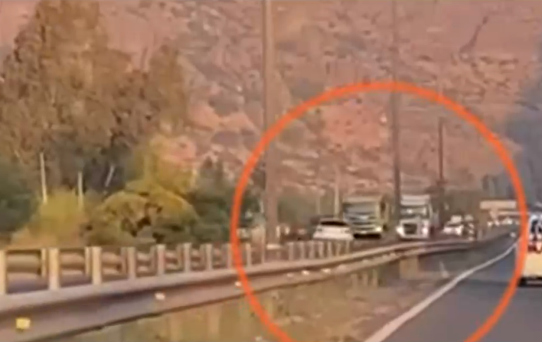 En descontrol y contra el tránsito: Captan irresponsable maniobra de conductor en plena Ruta 5 Norte