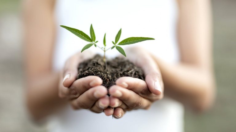 Día Mundial del Suelo: Con los pies mal puestos sobre la tierra