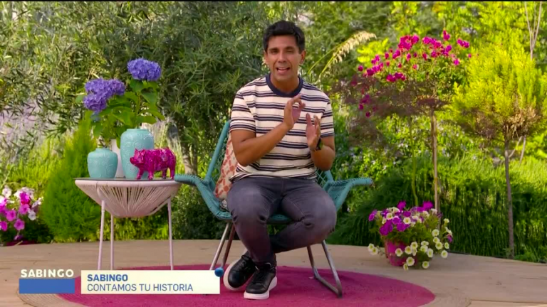 Sabingo | Capítulo 11 de diciembre