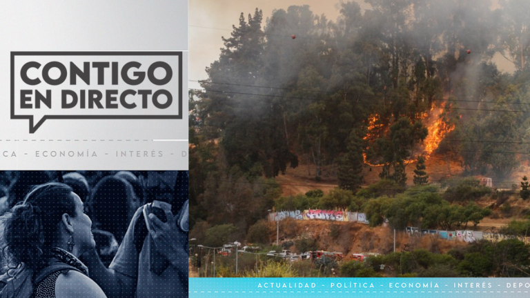 Incendio forestal afecta a Jardín Botánico de Viña del Mar: Alcaldesa acusa intencionalidad