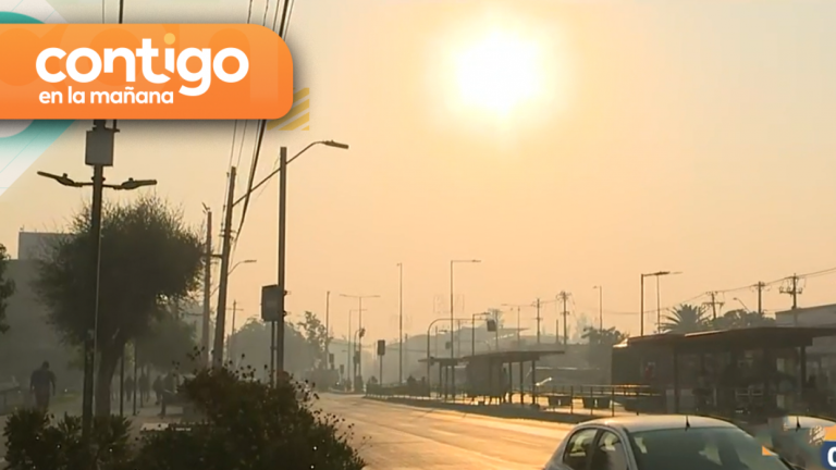 Contaminación por incendio forestales: Densa capa de humo cubre gran parte de Santiago