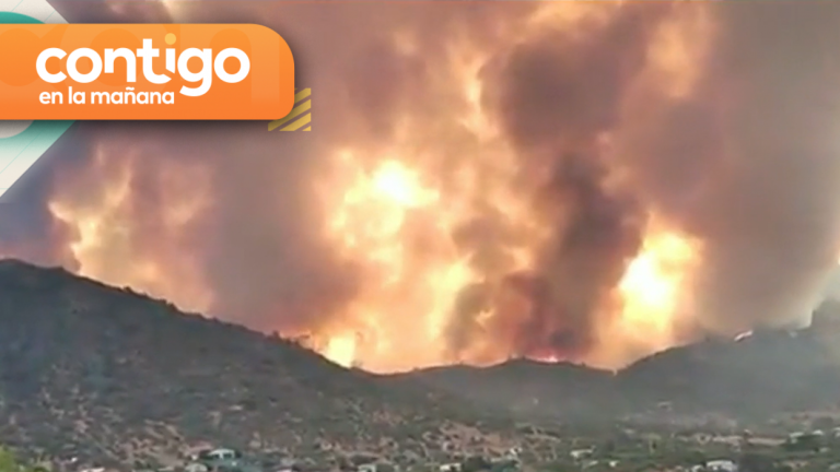 69 focos activos y 16 en combate: Estos son los incendios forestales que afectan al país