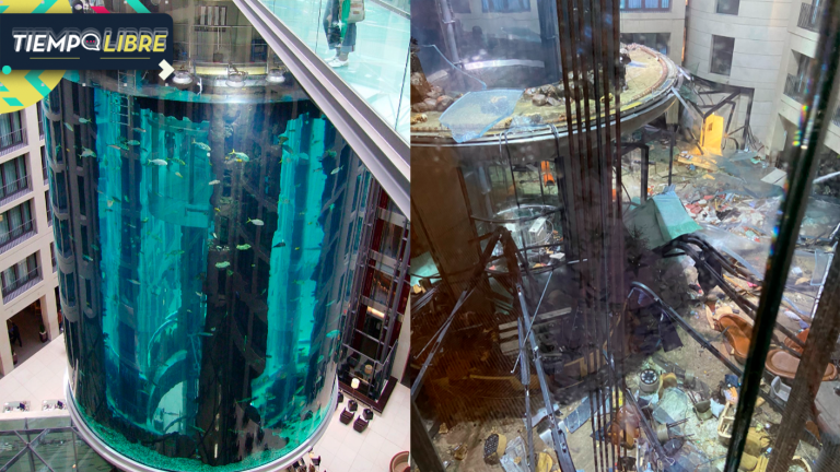¡Impactante! Estalló el acuario cilíndrico más grande del mundo: dejó dos heridos y miles de peces muertos