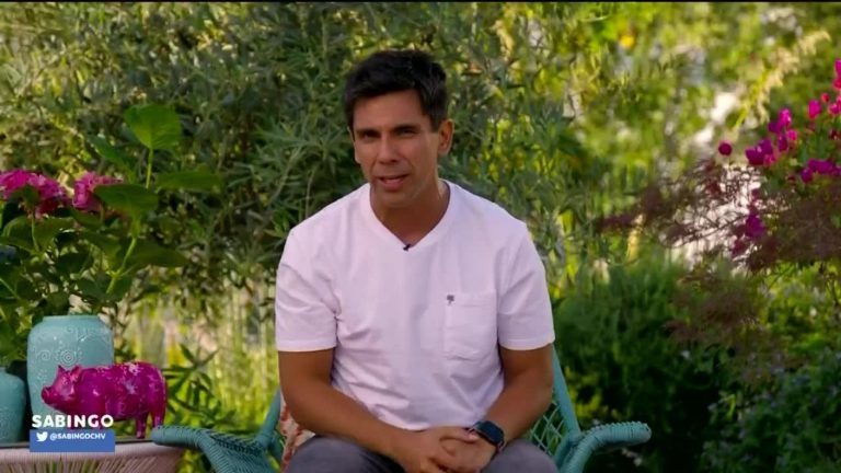 Sabingo | Capítulo 17 de diciembre