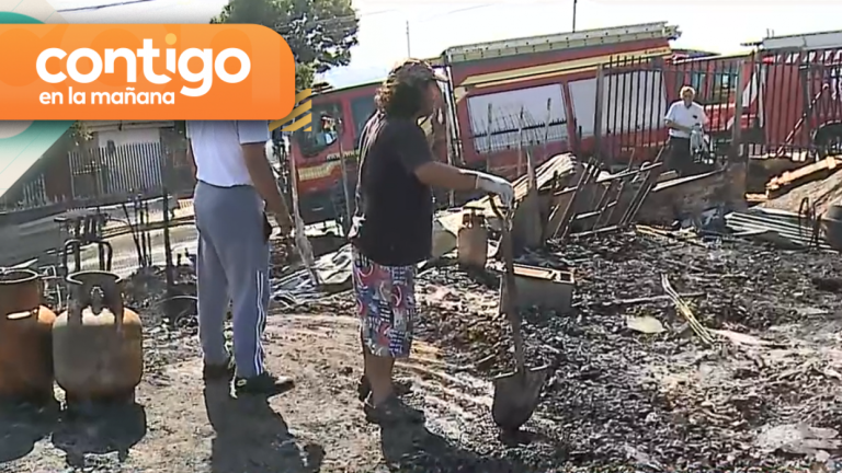 “No pudimos rescatar a los animalitos”: El desgarrador relato de vecinos afectados por incendio en Viña del Mar