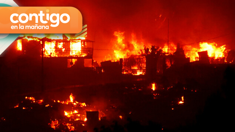 Incendio en Viña del Mar: Registran más de 130 casas quemadas y dos fallecidos