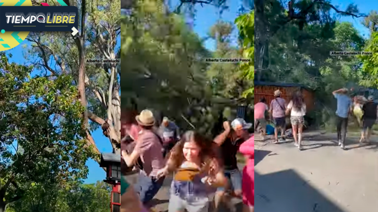 Caminaban por el Jardín Japonés y una rama les cayó encima: dos personas resultaron heridas
