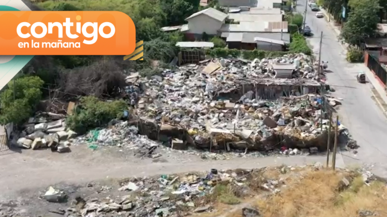 Caso de mal de Diógenes más grande de Chile: Vecinos de El Monte piden ayuda para tratar la situación