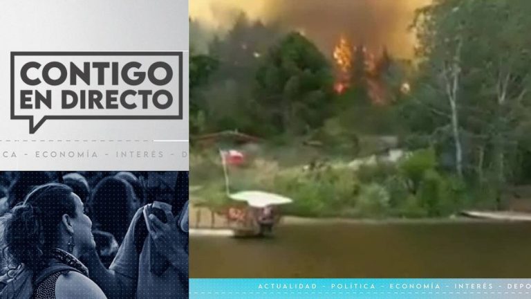 Incendio forestal en Santa Juana: ONEMI pide evacuar sectores poblados