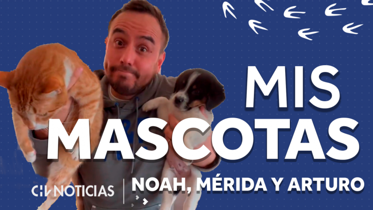 Mis Mascotas, capítulo 5 | Esta es la 