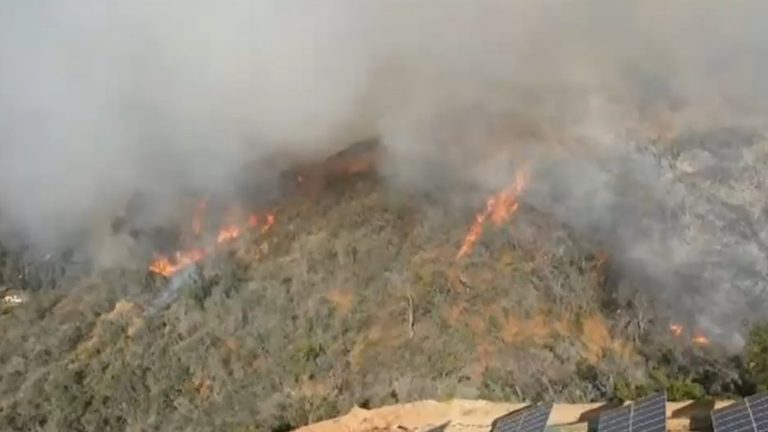 Reportan varias viviendas amenazadas: Incendio forestal mantiene con alerta roja en Quilpué