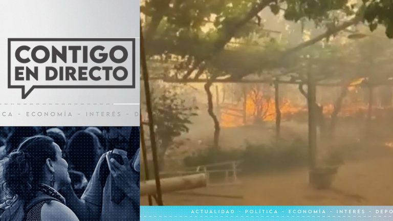 Incendios forestales: Onemi declara alerta roja para comuna de Melipilla