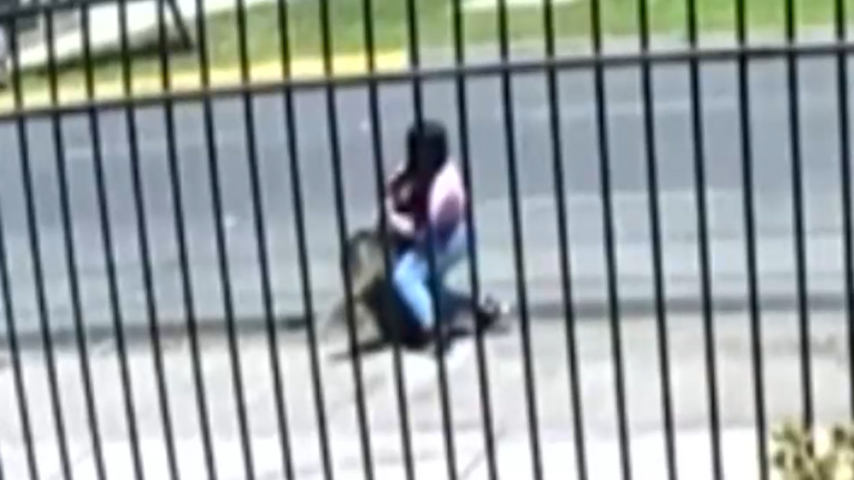 Lideran bandas de narcos y ladrones: Aumenta la participación de mujeres de delitos de alta connotación