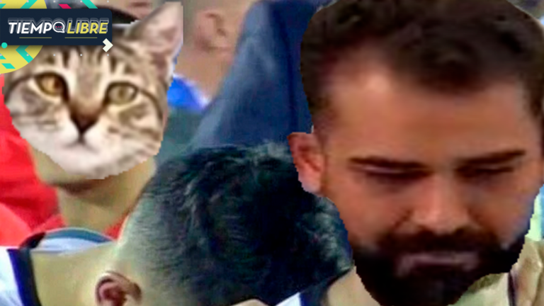 “La maldición del gato”: Las reacciones que dejó la sorpresiva eliminación de Brasil