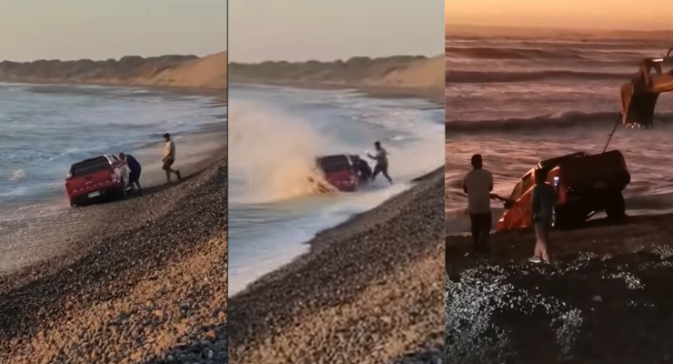 Daño irreparable a la fauna: Condenan irresponsable maniobra de conductor que ingresó a playa con su camioneta