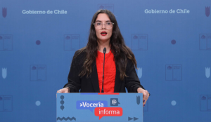 Ministra Vallejo sobre indultos: 